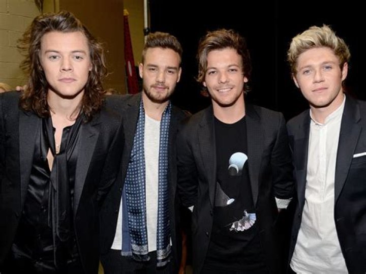 10 Things One Direction Will Do on Their Extended Hiatus