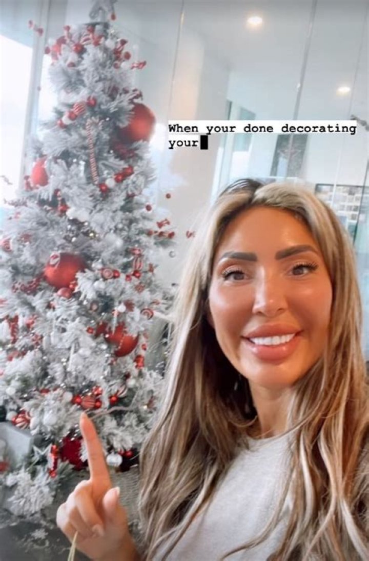 Farrah Abraham Slammed After She Lights Fire With Cleaning Supplies