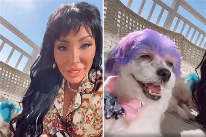 Farrah Abraham Slammed For Endangering Her Puppy