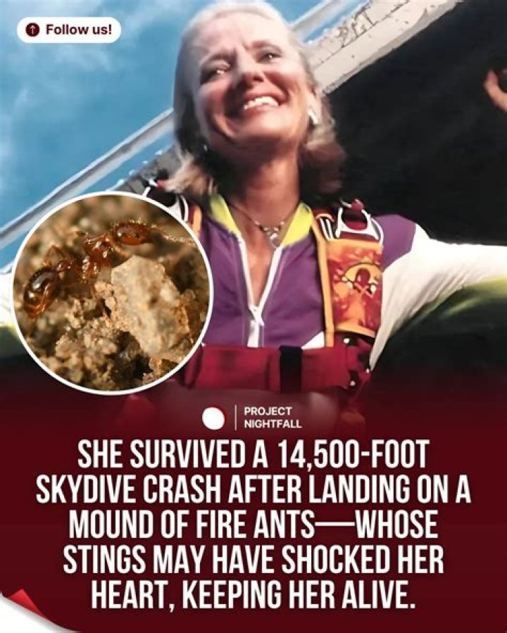 Joan Murray Skydiver Accident Survivor Story, Where Is She Now?
