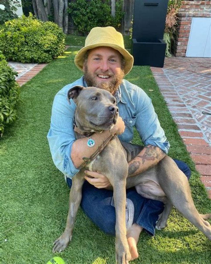 Jonah Hill Pets - Celebrity Pets