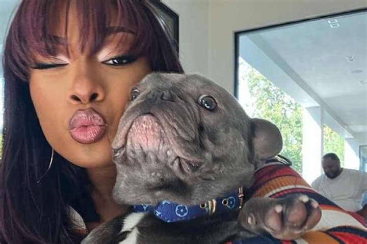Lizeth Selene Pets - Celebrity Pets