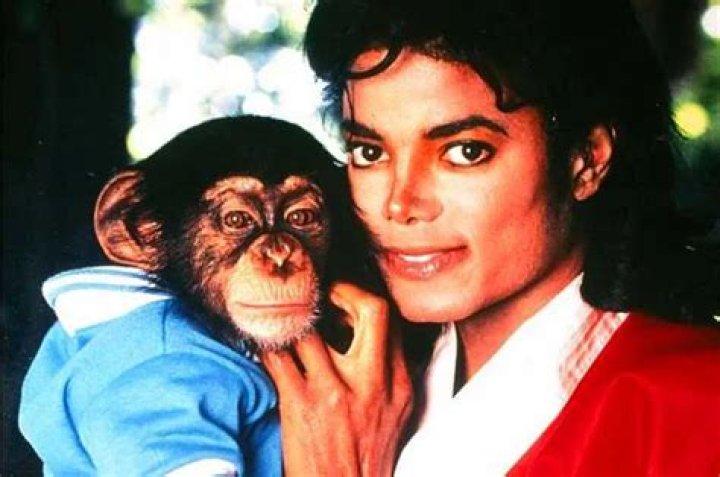 Michael Jackson Pets - Celebrity Pets