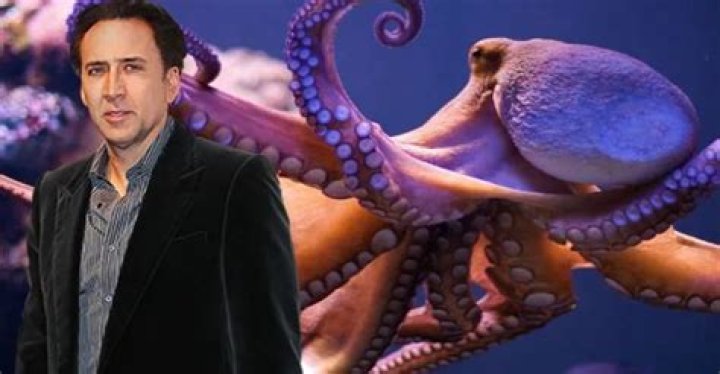 Nicolas Cage Once Owned a $150,000 Octopus Named Cool That Helped His Acting