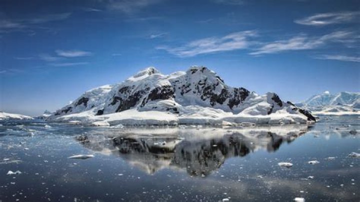 Schollaert Channel Cruise: Best Cruises Through Schollaert Channel