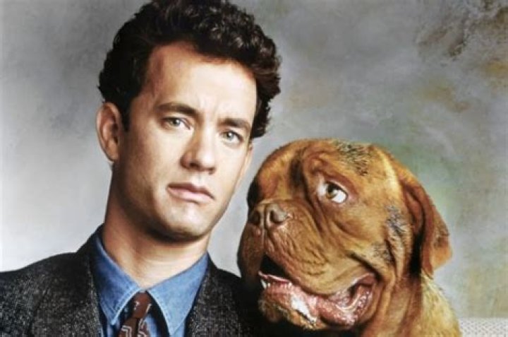 Tom Hanks Pets - Celebrity Pets