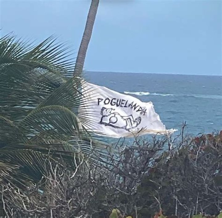 What is on the Poguelandia flag?
